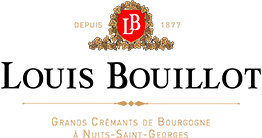 LOUISBOUILLOT